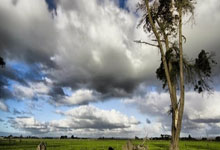 博万体育：未来想加入国足！来自西藏定日的少年，在上海参加中超开幕式.