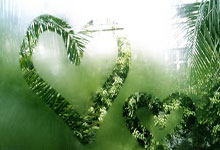 博万体育：西甲第9輪西班牙人2-0加的斯 德托馬斯首開紀錄梅拉梅破門建功.